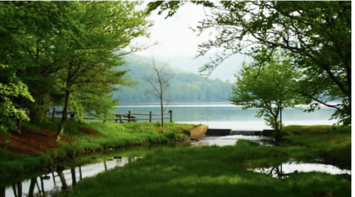 Prattvilla -Catskill -Mountain Escape 5 Bedroom ,3 Bath With Hot Tub Prattsville Экстерьер фото